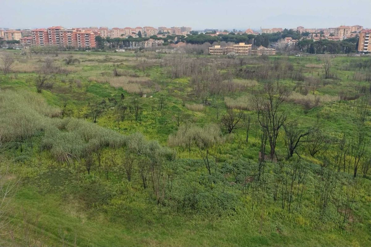 Con Vannozzi sulle Torri 3